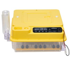 Incubadora Wonneg TW-36 huevos