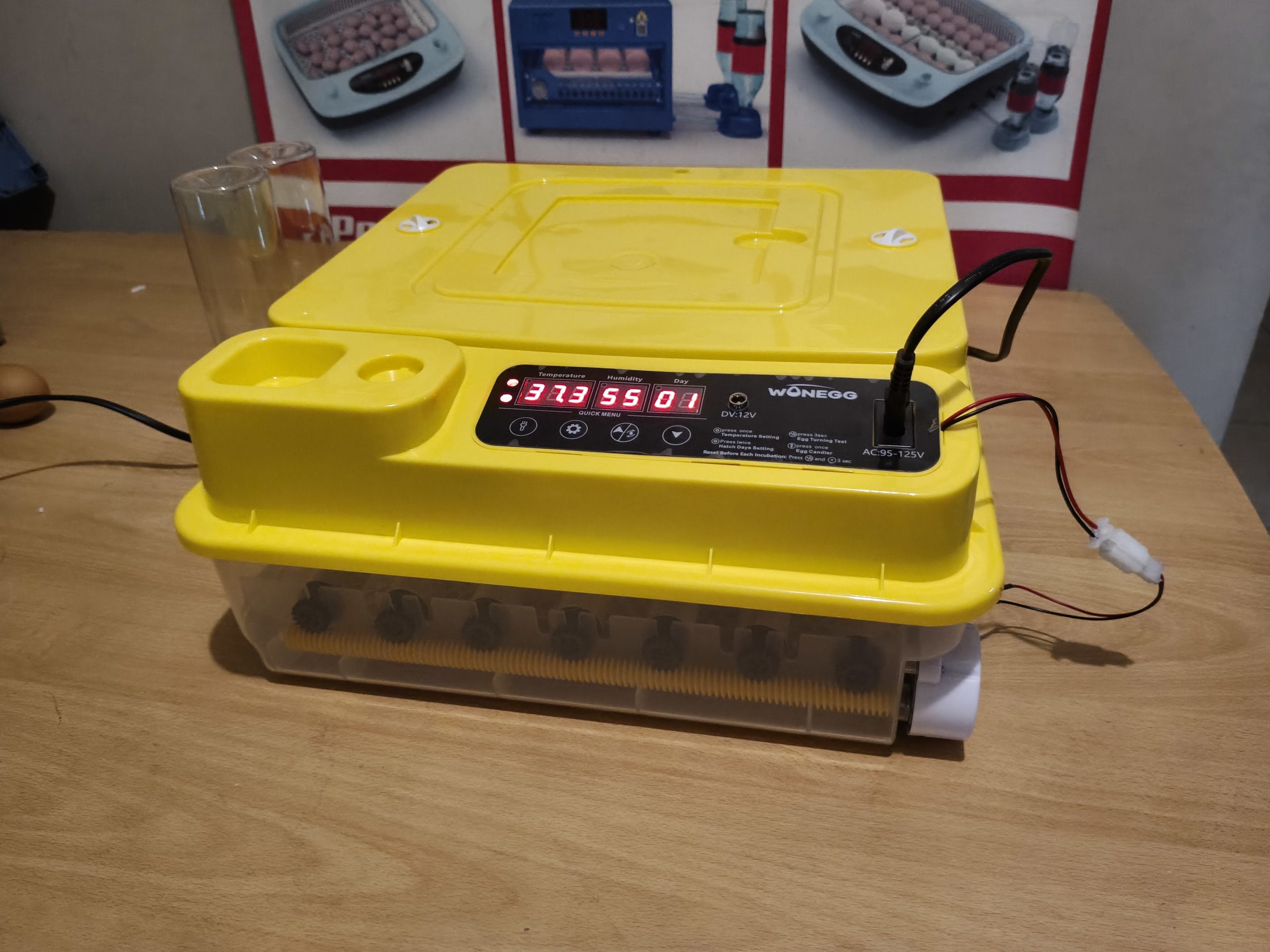 Incubadora Wonneg TW-36 huevos - Imagen 4