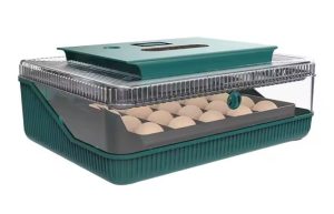 Incubadora Automática YZ de 25 huevos